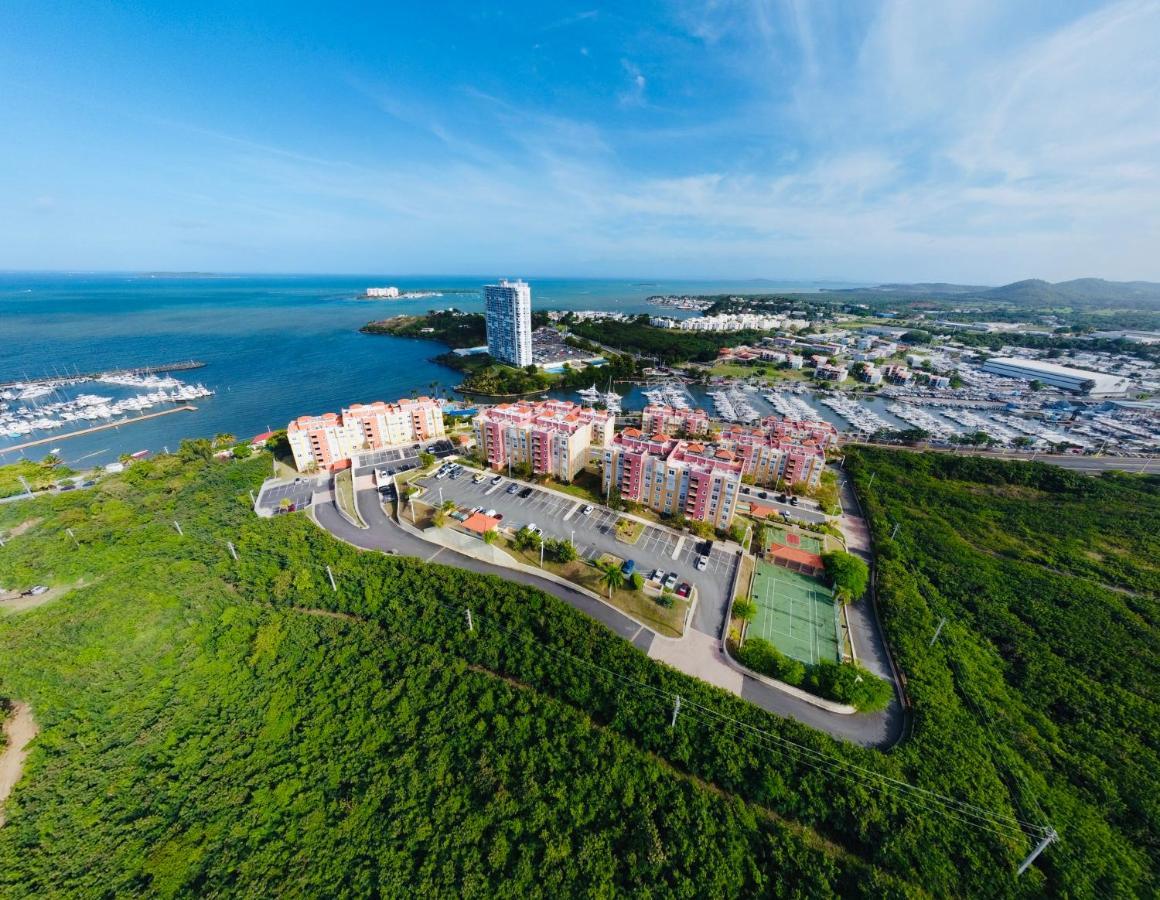 The New Caribbean Paradise Daire Fajardo Dış mekan fotoğraf